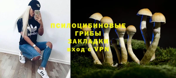 герыч Россошь