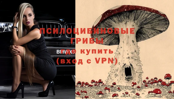 герыч Россошь