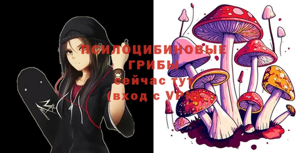 гашик Рославль