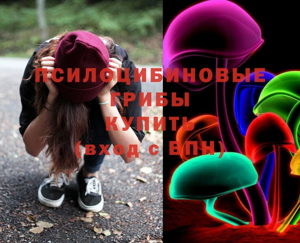герыч Россошь