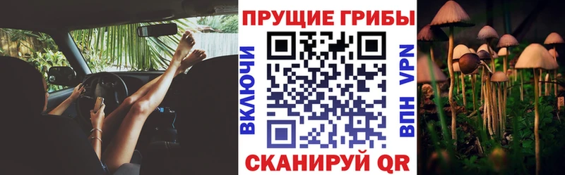 Галлюциногенные грибы Psilocybine cubensis  Купить где  Ишимбай 